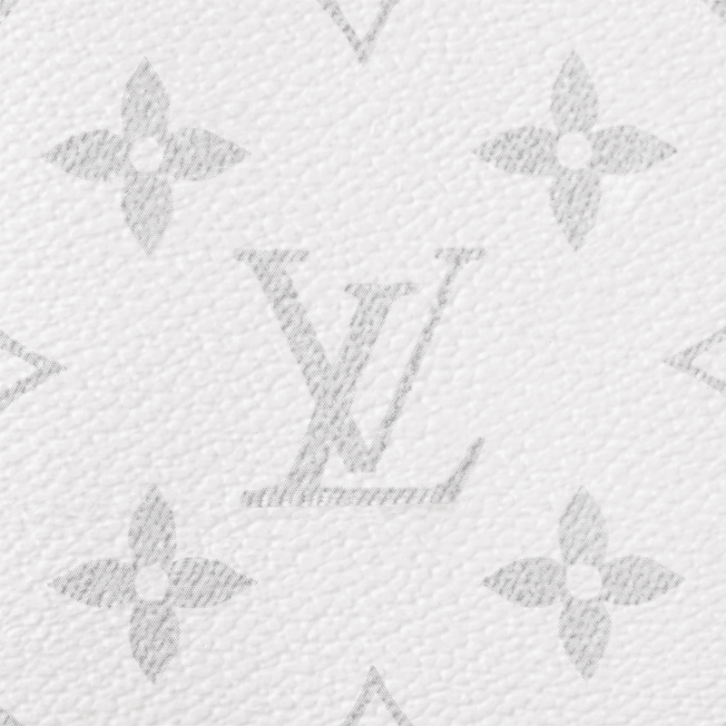 Louis Vuitton Multiple Wallet - White