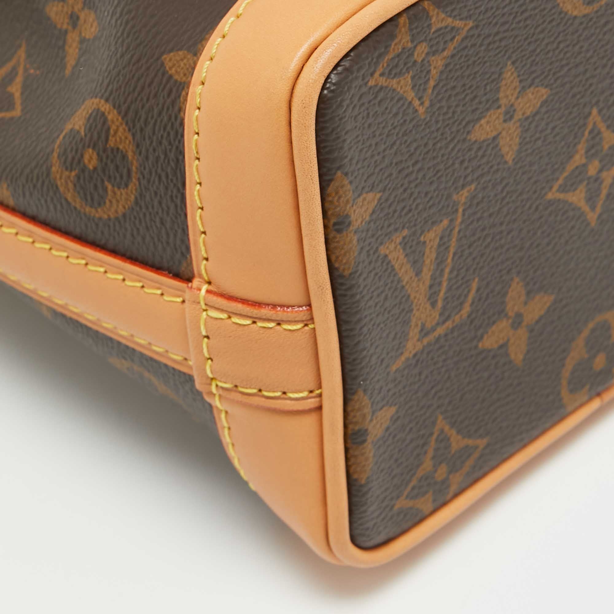 Louis Vuitton Nano Noé Bag - Brown