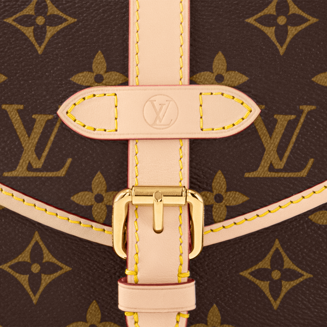 Louis Vuitton Saumur BB Handbag - Brown