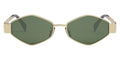 Celine CL40254 30N Triomphe Geometric Metal Gold Sunglasses