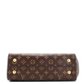 Louis Vuitton Cluny Mini Handbag - Brown