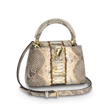 Louis Vuitton Capucines Mini Bag – Gold Silver
