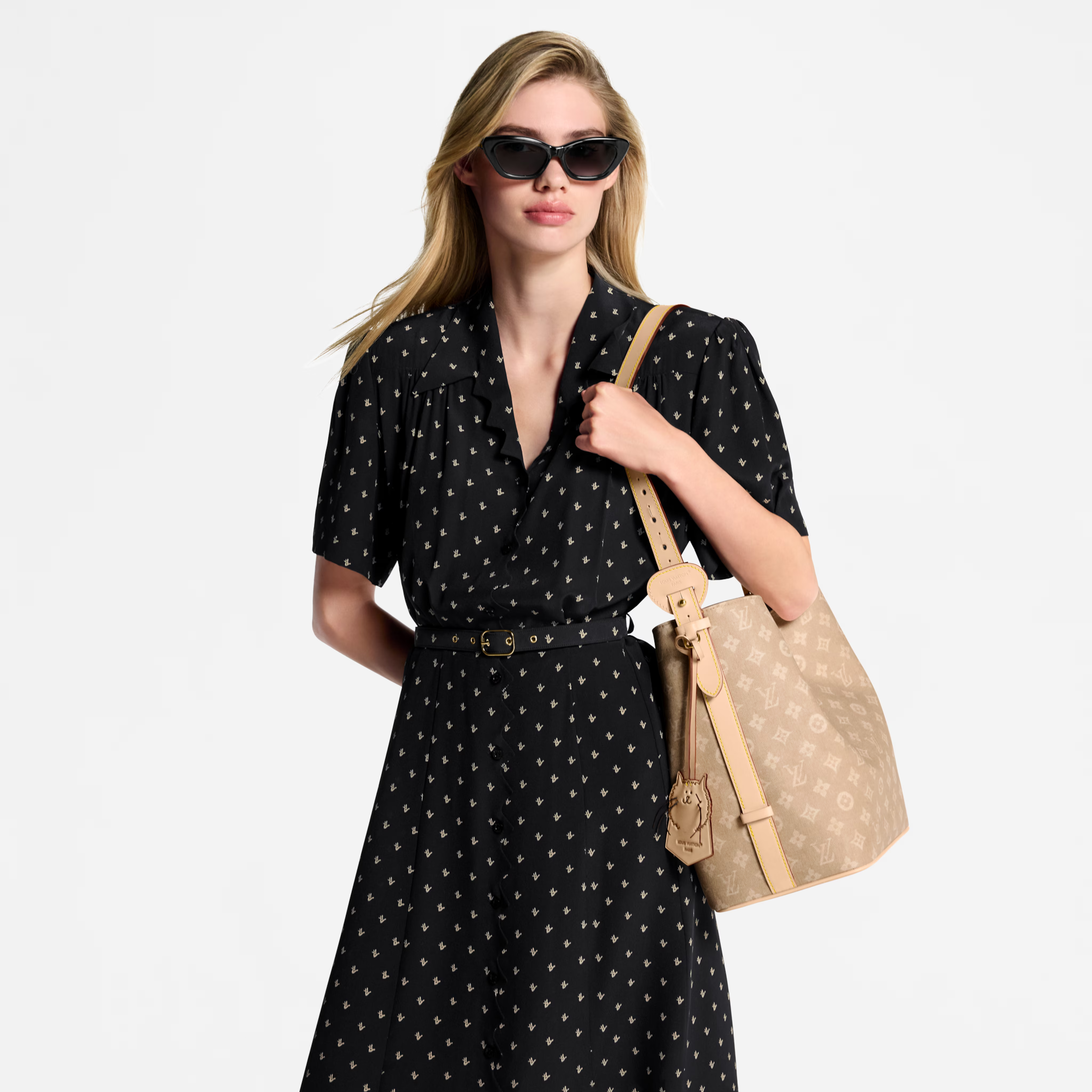 Louis Vuitton Canvas Meowgram All In GM Bag – Meowgram