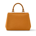 Louis Vuitton Cluny Mini Handbag - Gold Miel