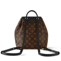 Louis Vuitton Montsouris PM Backpack - Brown